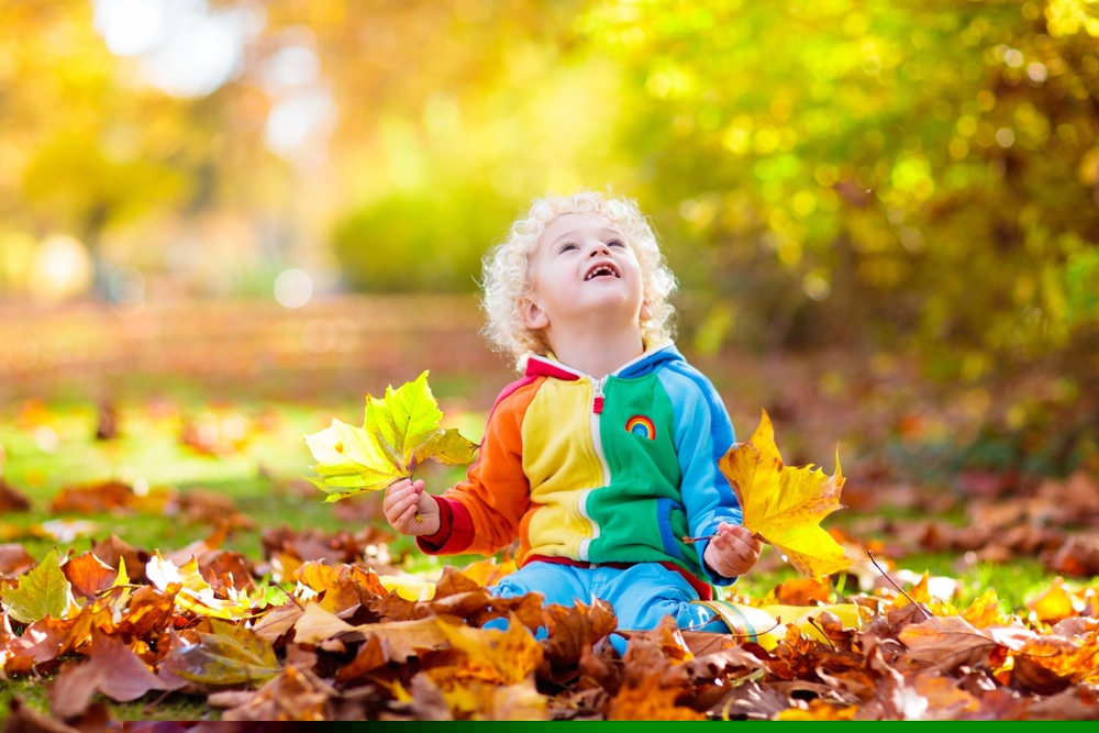 Budget Friendly Fall Activities